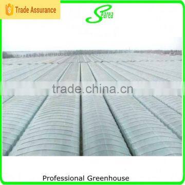 High Quality Film Blue Greenhouse for Sale photo-6