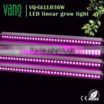 Bridgelux Spectrum King Solo Led Grow Light Newstar Sunshine Led Grow Bar Lighting photo-2