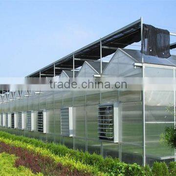 Baolida Cheap Vegetables Tunnel Greenhouse photo-6