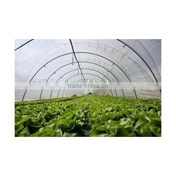 Plastic Film Covered Economic Tunnel Greenhouse For Agricultural Planting photo-4