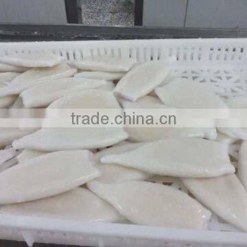 Newly Hot Selling Frozen Illex Squid Tube for Sale photo-3