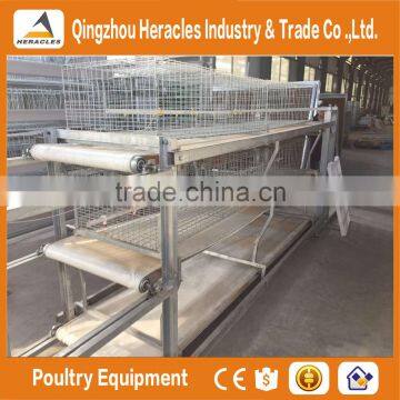 Factory price trade assurance cages chicken equipment poultry equipment