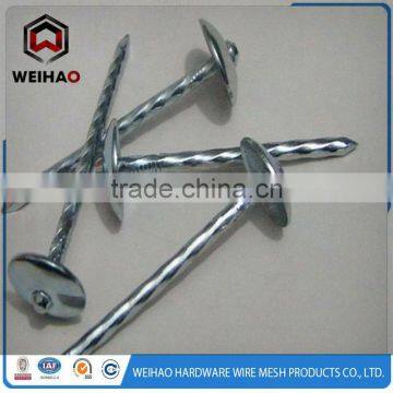 Polished Galvanized Zinc Plated Umbrella Head ROOFING NAIL