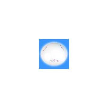 Ceiling Lamp