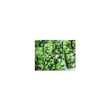 BQF Healthy Fresh Frozen Chigensai , Green Chinese IQF Vegetables for Supermarkets