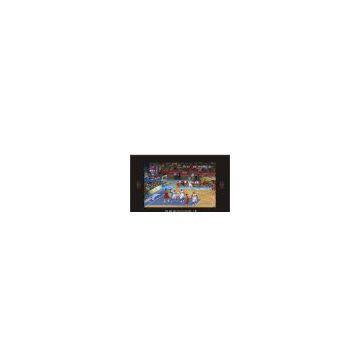 waterproof mirror tv