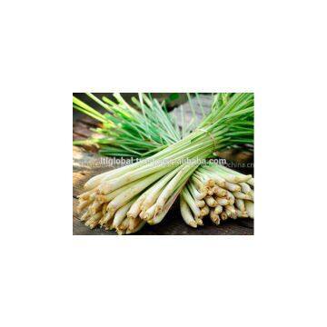 Sell Fresh Lemongrass