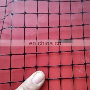 Garden Flower Protection Netting Plastic Bird Protection Net Roll