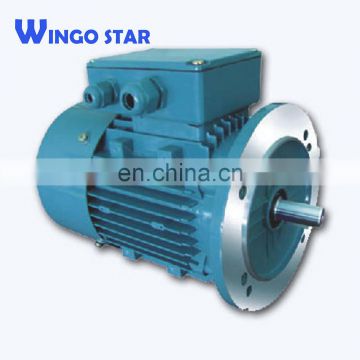 crane motor brake