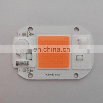 50W 220V Full Spectrum White Warm white Led Cob Chip 6040