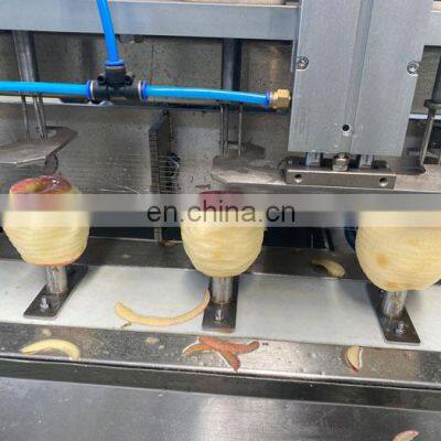 Fully Automatic Apple Pineapple Peeling Machine Apple Peeler Slicing And Separating Machine photo-3