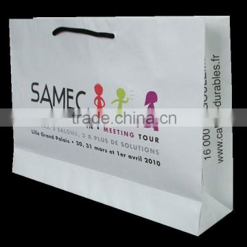 Professinally printing high quality & fashion paper bag