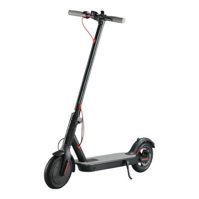 Top Supplier of Portable Electric Scooter Pocket Electric Bike E-Bike in China