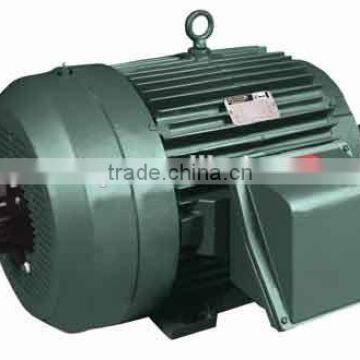 AC Motor Bicycle Motor Motor DC Motor Y Series 6-10KV Squirrel Cage High Voltage Three Phase Asynchronous Motor (710-1000)mm) photo-6