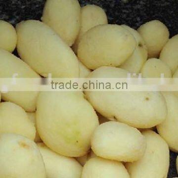 High Output With Cover JYTP-1800 Potato Processing Plant photo-3