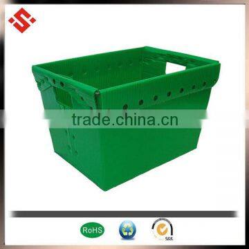 2015 cheap corrugated PP plastic mail tray