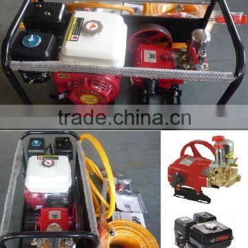 Agricultural Product photo-4