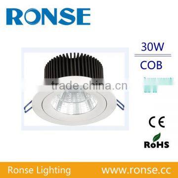 Aluminum body LED downlight 30W