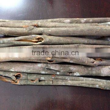 Split, Tube Cinnamon New Drop High Quality