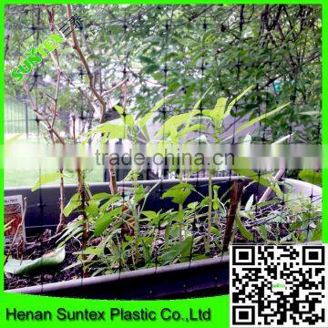 Supply 2016 100% Virgin pe Extruded Knotless With UV Stabilized Polypropylene Garden Anti Bird Netting