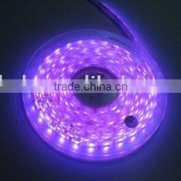 5050 rgb led rope lighting 30LED/M IP65