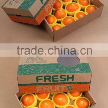 Beautiful Corrugated Fruit and Vegetable Carton Box photo-6