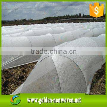 Breathable PP nonwoven fabric/landscape fabric for garden fleece,plant cover/wholesale non woven fabric for agriculture