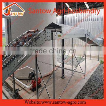 Chicken Use Welded Wire Chicken Layer Cages Chicken Farm Equipment 120 Birds photo-2