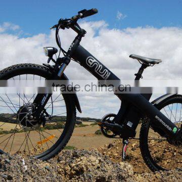 Seagull ebike Adult two wheel electrical bicycles for sale with aluminum/alloy frame made in China