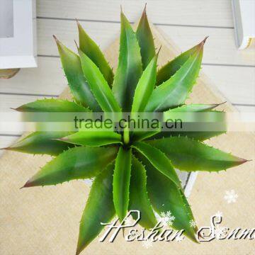 wholesale made in china accessory of plant wall plastic maguey