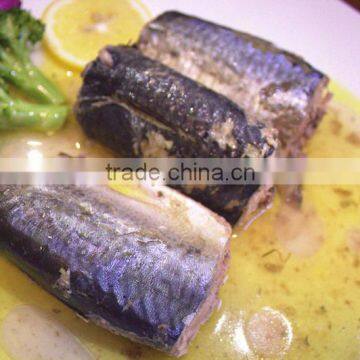 Canned Jack Mackerel in vegetable oil 155g/425g tin paking with HACCP IFS,BRC ISO