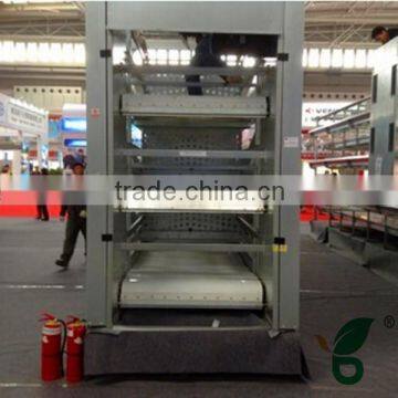 automatic chicken manure removal system