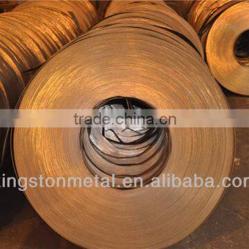 Competitive Price St37-2g Galvanized Steel Strips in Coils