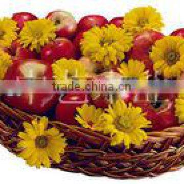 FSC&SA8000 wholesale wicker baskets for fruits retail