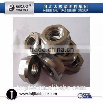 Titanium Hex Nut