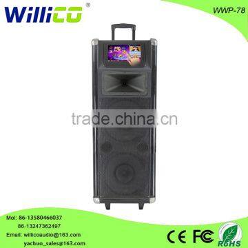 Professional high power daul 10" inch trolley speaker with 500G storage