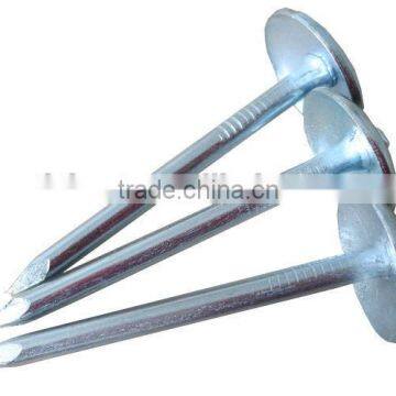 Galvanized Roofing Nail With Umbrella Head From DINGZHOU BEST HARDWARE CO.,LTD photo-5