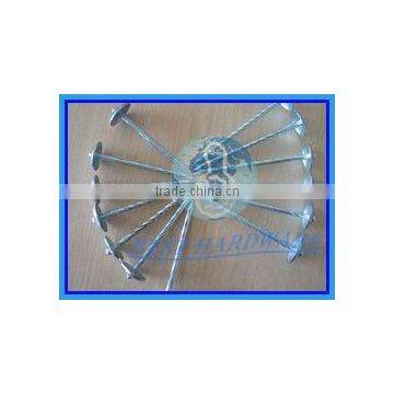 11gauge galvanized roofing nail with umbrella head
