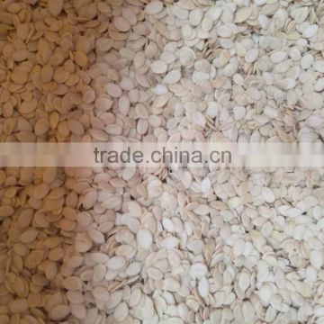 2016 New Crop Melon Seed Kernel