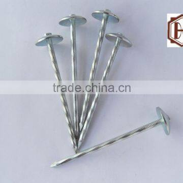 umberlla roofing nail from china supplier