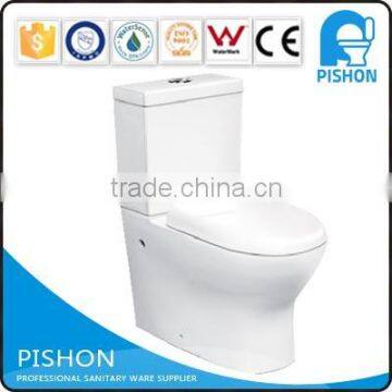 New Style S trap water closet sanitary