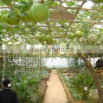 Hot sale strong longlife polycarbonate greenhouse,pc hollow sheet,plastic roofing sheet