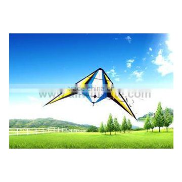 Dual Line Delta Stunt Kites - Straight Edge Kites