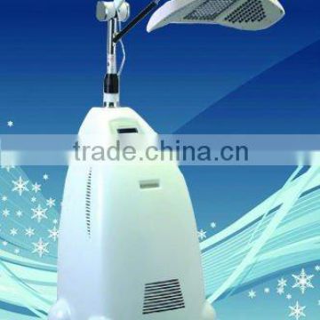 2011 China Portable LED skin rejuvenation beauty machine