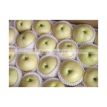 Golden Pear photo-4