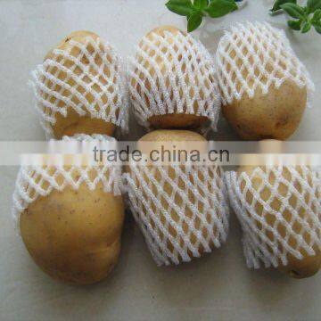 Chinese fresh holland potato for sale 2012