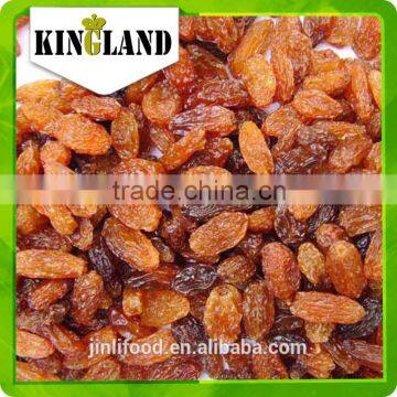 Best Common Cultivation Type Top Sale AAA Sultana Raisin Price ,Xinjiang