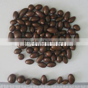 Wholesale Chocolate Coated Raisin