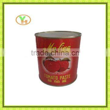 tomato paste brands, pomo tomato paste, tomato paste factory, tomato paste brands