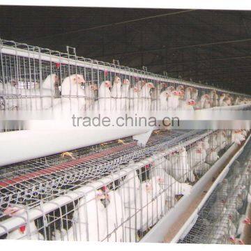 Poultry Cages